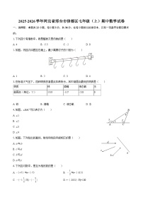 2025-2026学年河北省邢台市信都区七年级（上）期中数学试卷-自定义类型