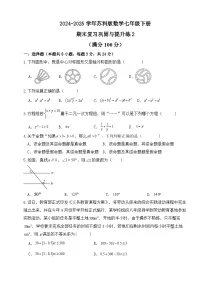 2024-2025学年苏科版数学七年级下册期末复习巩固与提升练