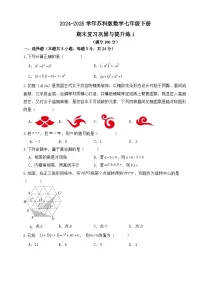 2024-2025学年苏科版数学七年级下册期末复习巩固与提升练1