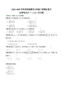 2024-2025学年苏科版数学七年级下册期末复习教案必考考点8——  二元一次方程