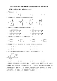 2024-2025学年苏科版数学七年级下册期末迎考同步小练1