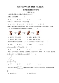 2024-2025学年苏科版数学（江苏扬州）七年级下册期末冲刺试卷