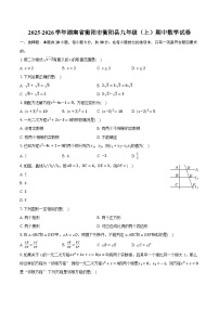 2025-2026学年湖南省衡阳市衡阳县九年级（上）期中数学试卷（含答案+解析）