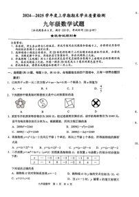 湖北省襄阳市枣阳市2024-2025学年九年级上学期1月期末数学试题