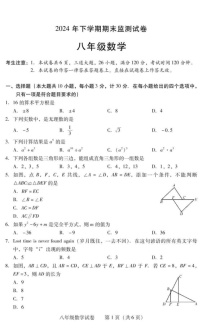 湖南省衡阳市常宁市2024-2025学年八年级上学期1月期末数学试题