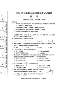 湖南省娄底市冷水江市2024-2025学年九年级上学期期末数学试题