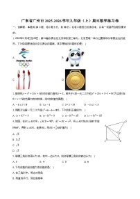广东省广州市2025-2026学年九年级（上）期末数学练习卷（含答案+解析）