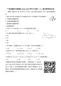广东省揭阳市榕城区2024-2025学年九年级（上）期末数学练习卷（含答案+解析）