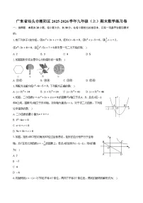 广东省汕头市潮阳区2025-2026学年九年级（上）期末数学练习卷（含答案+解析）