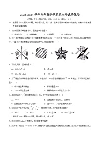 八年级（下）期末考试培优卷-【习题+答案】2023-2024学年八年级数学下册重难点专题提优训练（苏科版）