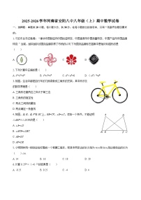2025-2026学年河南省安阳八中八年级（上）期中数学试卷-自定义类型