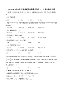 2025-2026学年江苏省盐城市射阳县七年级（上）期中数学试卷-自定义类型
