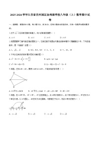 2025-2026学年江苏省苏州园区金鸡湖学校八年级（上）数学期中试卷-自定义类型