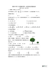 山东省枣庄市滕州市滕东中学2025-2026学年上学期第一次月考八年级数学试卷