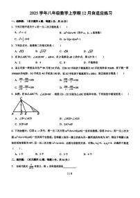 上海市普陀区教育附属中学2025-2026学年上学期八年级数学12月月考试题