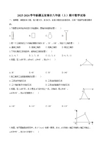 2025-2026学年新疆五家渠市八年级（上）期中数学试卷-自定义类型