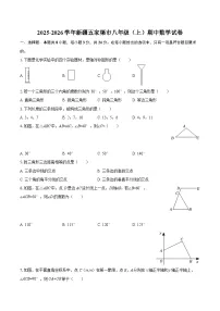 2025-2026学年新疆五家渠市八年级（上）期中数学试卷-自定义类型