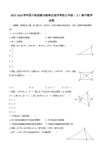 2025-2026学年四川省成都市新津区成外学校九年级（上）期中数学试卷-自定义类型