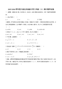 2025-2026学年四川省达州高级中学八年级（上）期中数学试卷-自定义类型