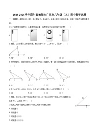 2025-2026学年四川省德阳市广汉市八年级（上）期中数学试卷-自定义类型
