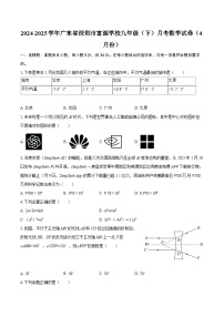 2024-2025学年广东省深圳市富源学校九年级（下）月考数学试卷（4月份）-自定义类型