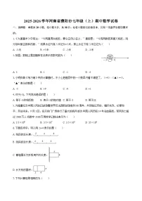 2025-2026学年河南省濮阳市七年级（上）期中数学试卷-自定义类型