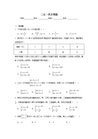 二元一次方程组练习  中考数学一轮复习（人教版）