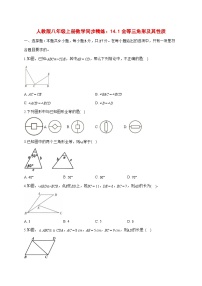 人教版（2024）八年级上册（2024）14.1 全等三角形及其性质当堂检测题