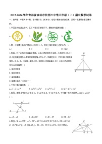 2025-2026学年吉林省吉林市松花江中学八年级（上）期中数学试卷（含答案+解析）