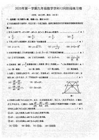 上海市普陀区2025－2026学年九年级上学期12月月考数学试卷