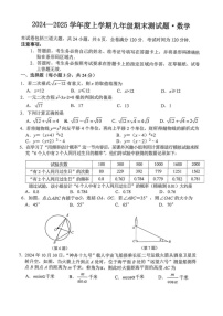 吉林省榆树市慧望中学2024-2025学年九年级上学期期末数学试卷