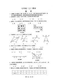 江苏省南京鼓楼区2024-2025学年七年级上学期期末数学试卷