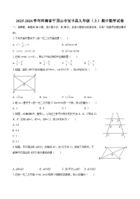 2025-2026学年河南省平顶山市宝丰县九年级（上）期中数学试卷-自定义类型