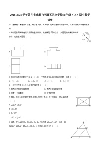 2025-2026学年四川省成都市郫都区天立学校九年级（上）期中数学试卷-自定义类型