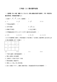 北师大版2024初中数学八上期末水平测试试卷（原卷版）