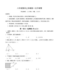北师大版2024初中数学八上第1次月考试卷【原卷版-第1-2章】