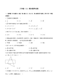 北师大版2024初中数学八上 期末试卷（原卷版）