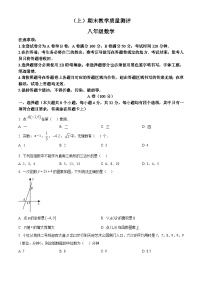 北师大版2024初中数学八上期末考试 试题 （原卷版）