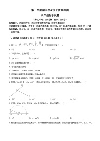 北师大版2024初中数学八上期末试题 （原卷版）
