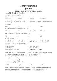 北师大版2024初中数学八上期中试卷（原卷版）