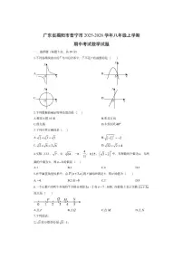 广东省揭阳市普宁市2025-2026学年八年级上学期期中考试数学试卷（学生版）