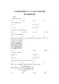 广东省茂名市高州市2025-2026学年八年级上学期期中考试数学试卷（学生版）