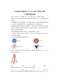 广东省湛江市雷州市2025-2026学年八年级上学期11月期中数学试卷（学生版）