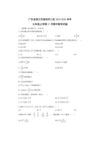 广东省湛江市雷州市三校2025-2026学年七年级上学期11月期中数学试卷（学生版）