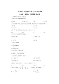 广东省湛江市雷州市三校2025-2026学年七年级上学期11月期中数学试卷（学生版）