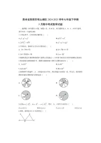 贵州省贵阳市观山湖区2024-2025学年七年级下学期5月期中考试数学试卷（学生版）