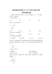 贵州省贵阳市花溪区2024-2025学年七年级下学期4月期中数学试卷（学生版）