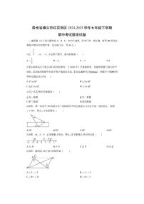 贵州省遵义市红花岗区2024-2025学年七年级下学期期中考试数学试卷（学生版）