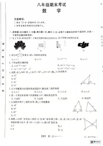 辽宁省盘锦市大洼区2024-2025学年八年级上学期1月期末数学试题