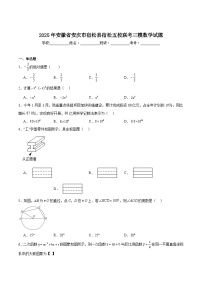 安徽省安庆市宿松县五校联考2025届九年级下学期中考三模数学试卷（含解析）